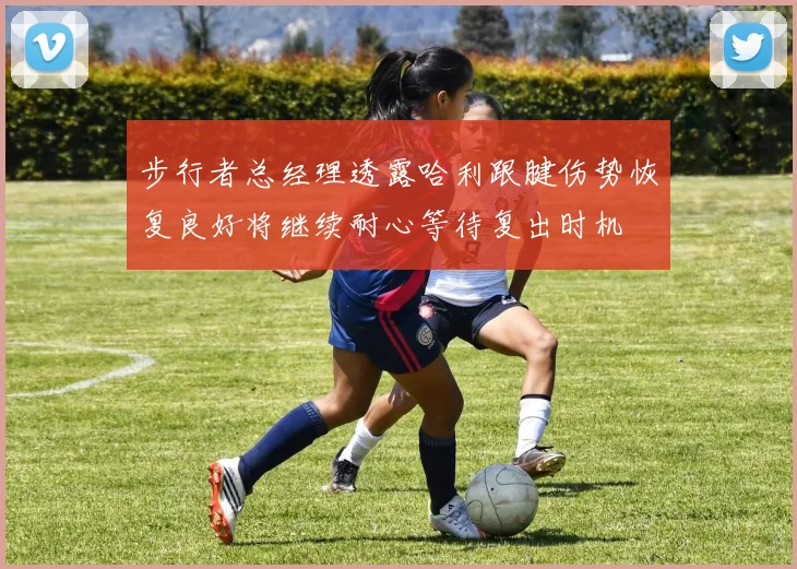 步行者总经理透露哈利跟腱伤势恢复良好将继续耐心等待复出时机