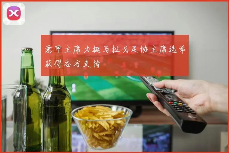 意甲主席力挺马拉戈足协主席选举获得各方支持