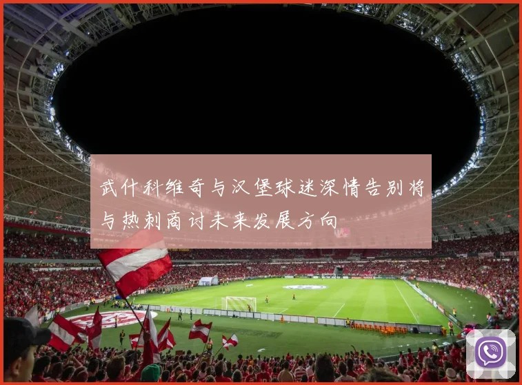 武什科维奇与汉堡球迷深情告别将与热刺商讨未来发展方向